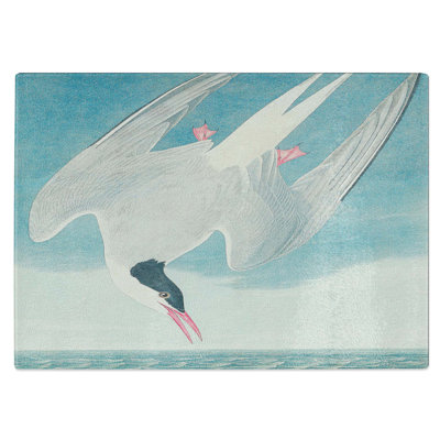 Tempered Glass Arctic Tern Chopping Board