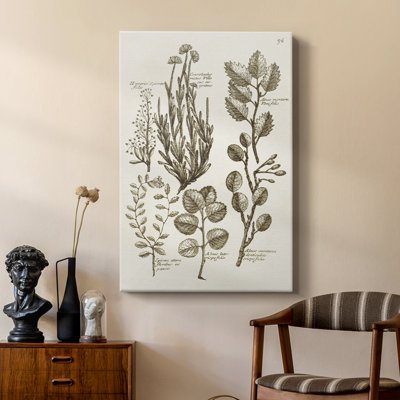 Sépia Botanical Journal 8 - galerie sur mesure Cavas
