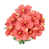 Coral is out of stock