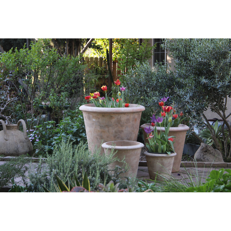 Amphore conique en grès, grand pot de fleurs en argile, lot de 4 - Intérieur/Extérieur