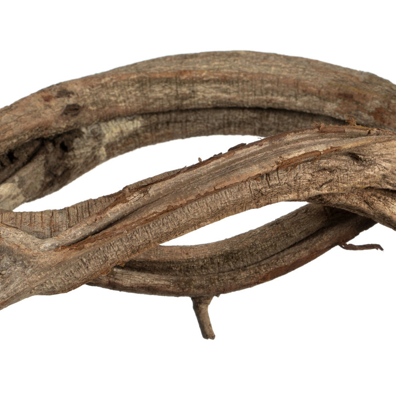 Vickerman 18-22" Natural Twisted Vine Bundle, 3 pack