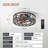 Bacall Ceiling Fan with LED Lights