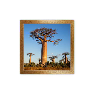 Giants 1 Piece Wall Art on Canvas