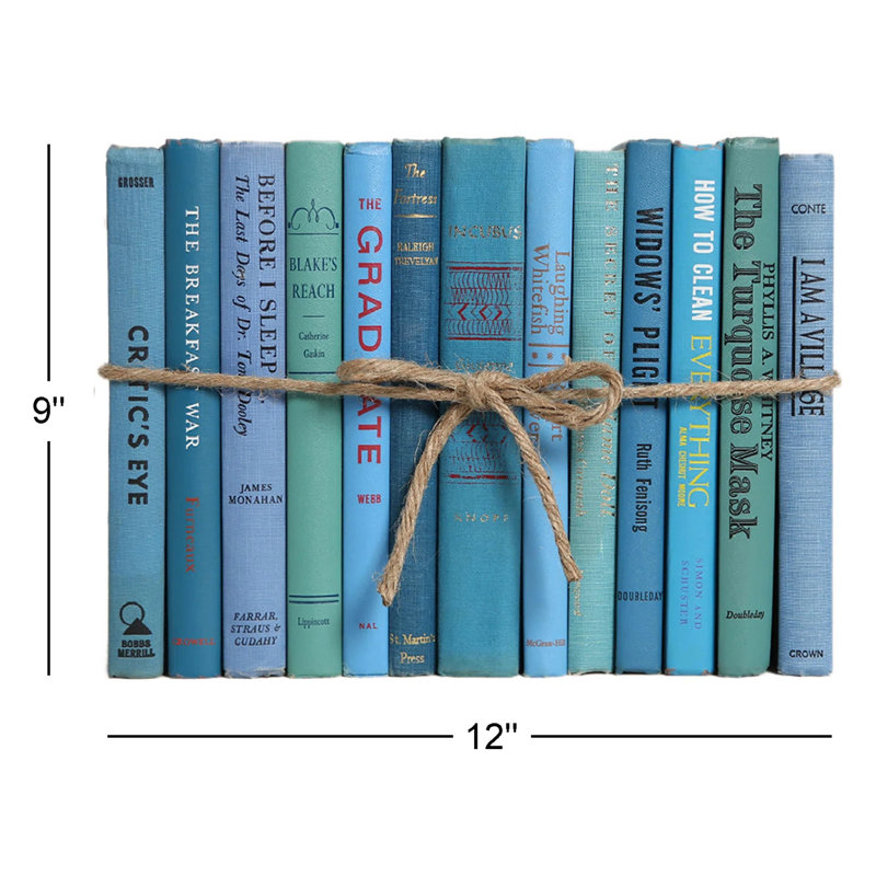 Livres décoratifs - Livres d'îles rétro - Livres bleus au pied
