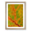 Map of a Leaf in Abstract - Picture Frame Graphic Art Print-55770750-55770753