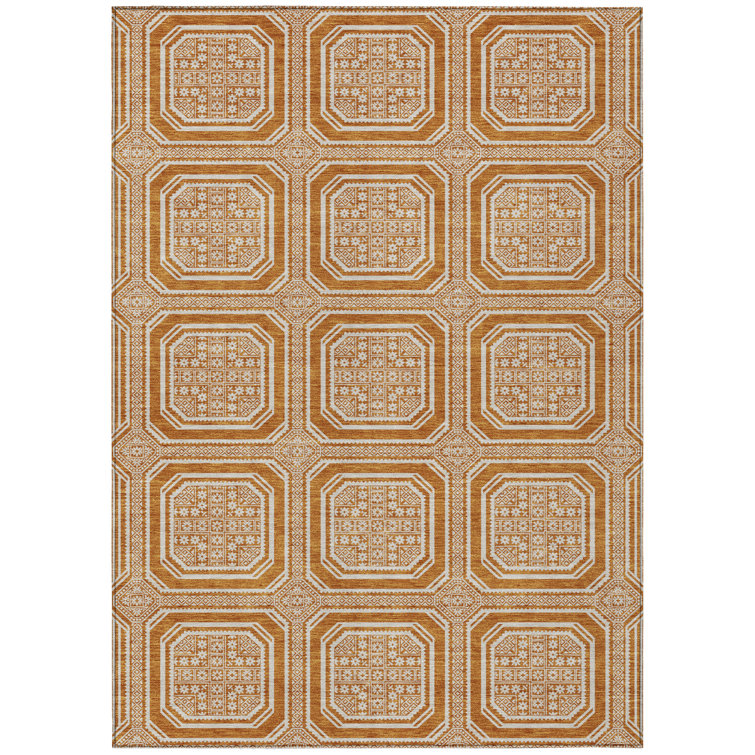 Premium Machine Washable Elize AMF1451 Geometric Rug