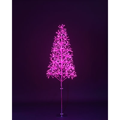Lighted Trees & Branches