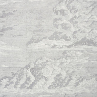 Cloud Toile Fabric