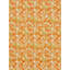 LANAI - OUTDOOR-244194055