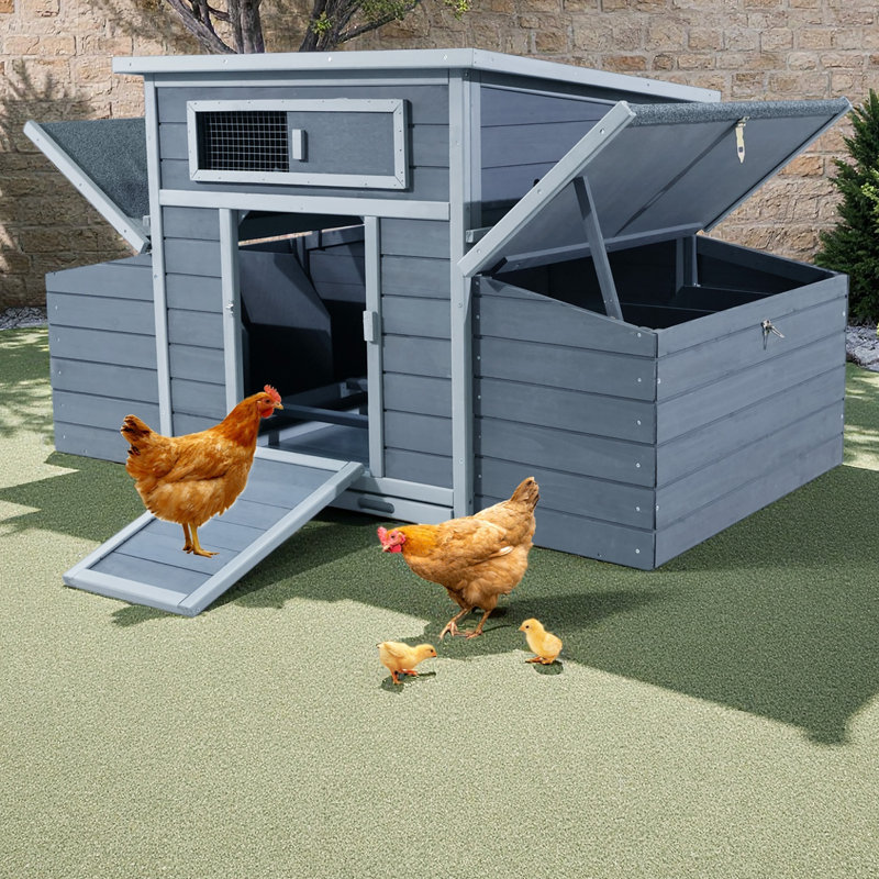 Grande cage à poules pour l'extérieur avec 2 boîtes de nidification