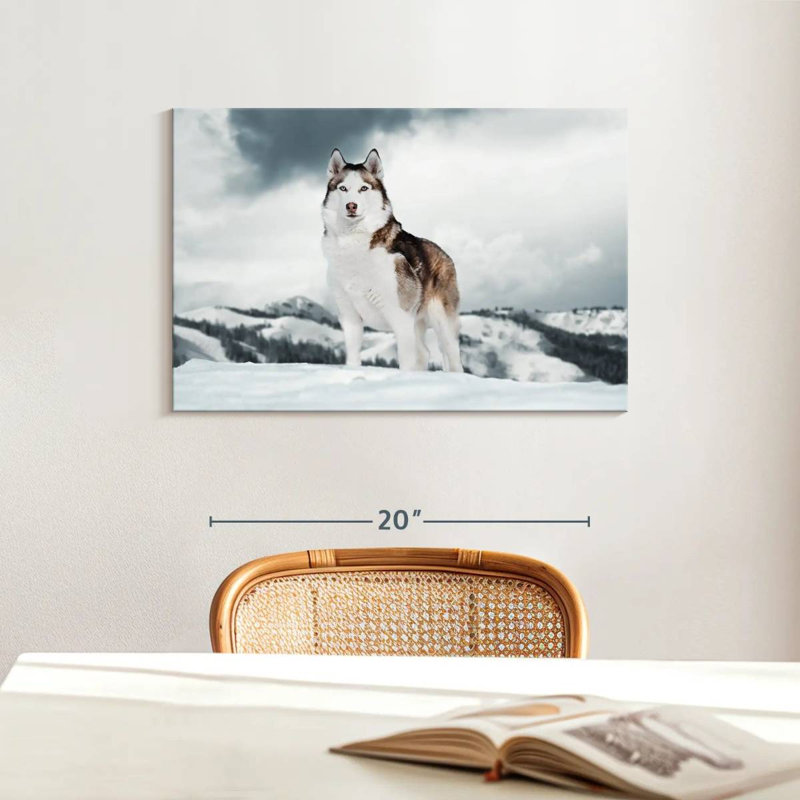 Majestic sibérien Husky, H 16 po x l 24 po