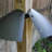 Dameron Squirrel Guard