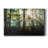 " Light And Trees "-975739819