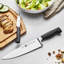 Zwilling Four Star 2-piece "The Must Haves" Knife Set
