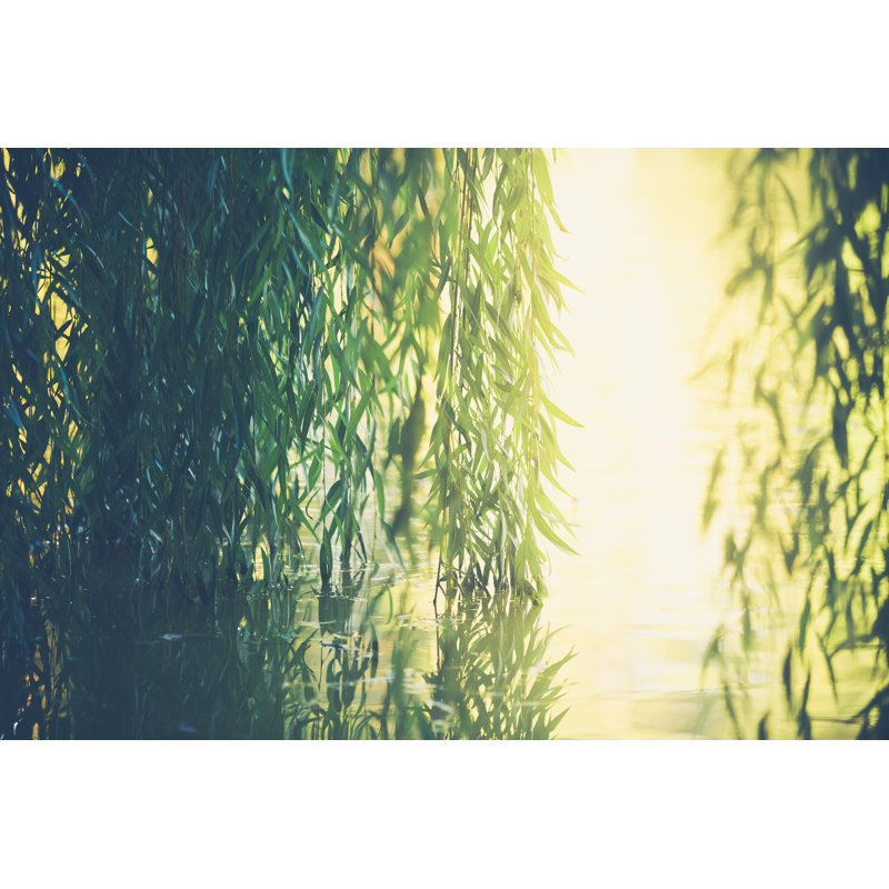 Nature Background by Debibishop - Wrapped Canvas Print, 81cm H x 122cm W x 3.8cm D