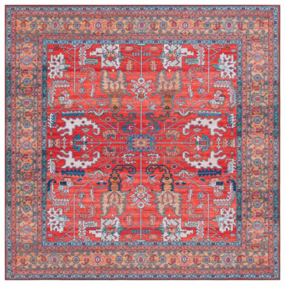 Tapis oriental performance Danna Tucson