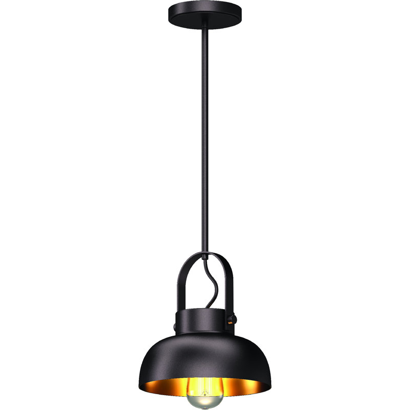 Mini-luminaire suspendu d'intérieur 1 lumière Downrod