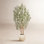 George 96" Olive Tree in Planter