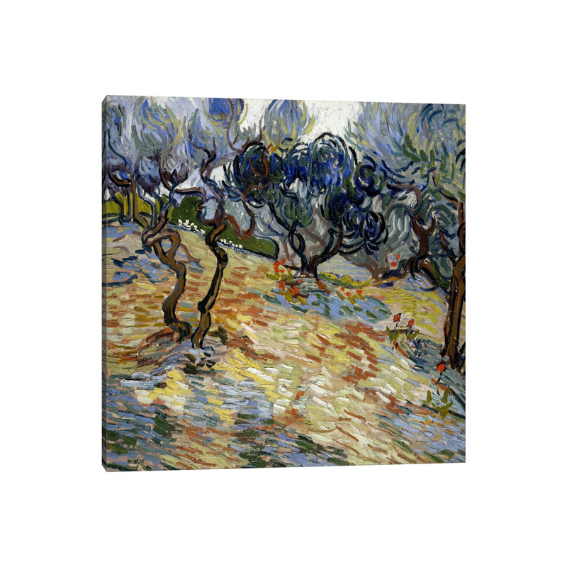 Olive Trees by Vincent Van Gogh - 1 Piece Wrapped Canvas Painting, 93.98 cm H x 93.98 cm W x 3.175 cm D