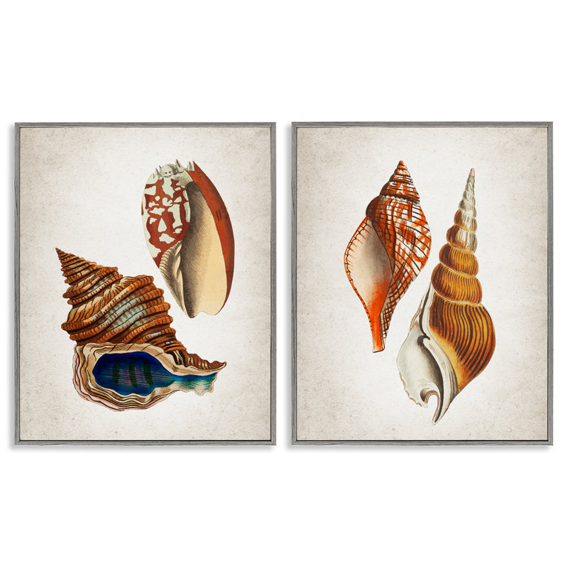 «Twin Shells Motifs», ensemble de 2 giclées encadrées, design par Kim Allen, H 30 po x l 24 po, Estampe numérique Farmhouse