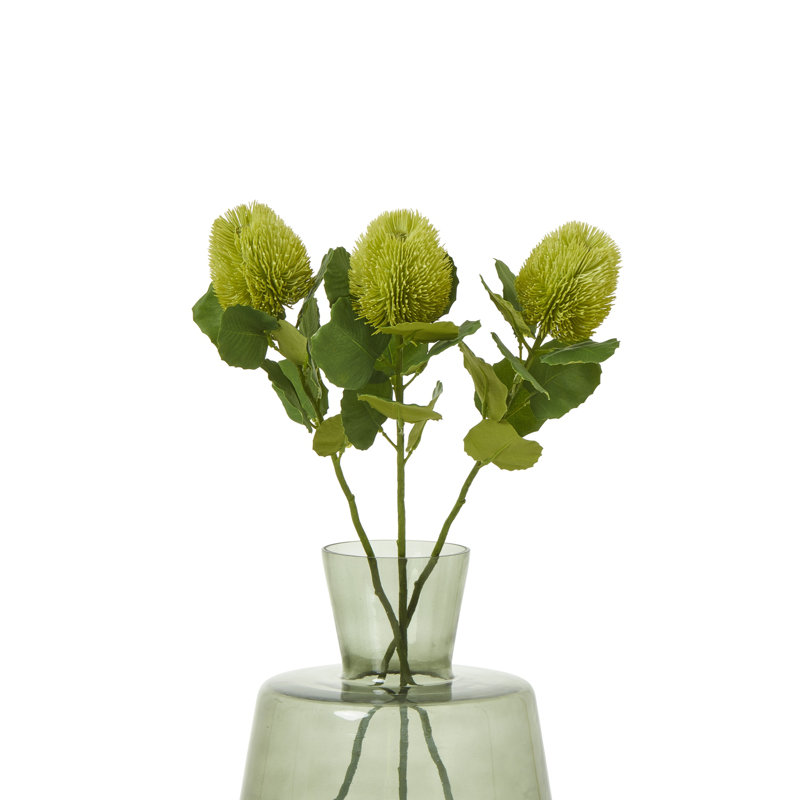 Anastasija Arrangement, Green