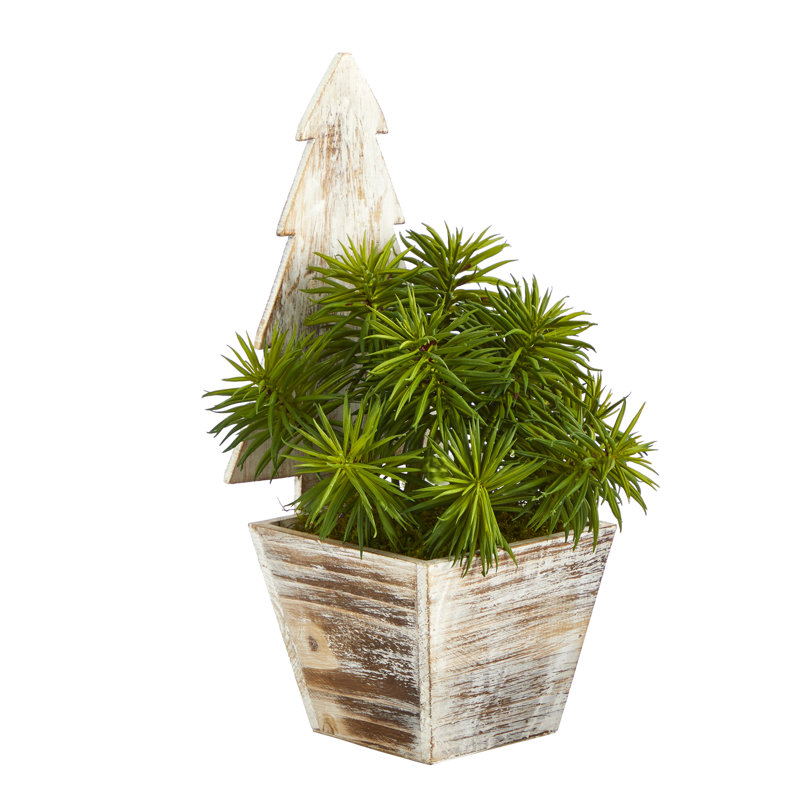 15 " H Faux Succulent