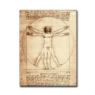 " Vitruvian Man " by Leonardo Da Vinci Painting Print