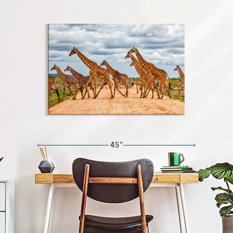 Girafes, animaux de safari