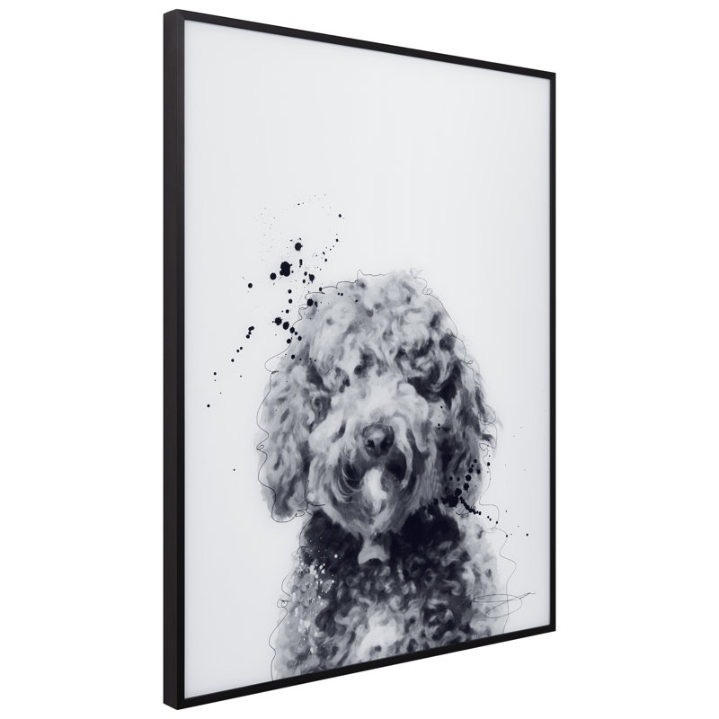 Labradoodle - cadre photo, impression sur verre