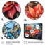 Vitrail poinsettia II - impression-465131169-465131183