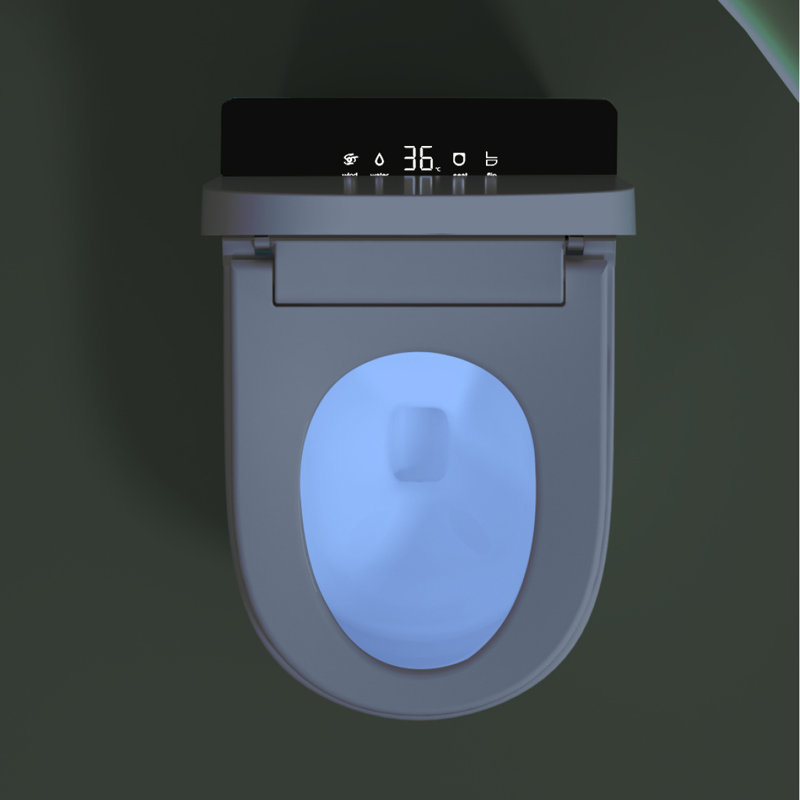 Compact Smart Toilet With Bidet Seat Builtin, Modern Tankless Design With 23.25" Depth, Auto Open Auto Flush, Heated Seat, Instant Warm Air Dryer For Small Bathrooms, White With Black Panel