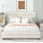 Eastampton Upholstered Storage Platform Bed-514530225