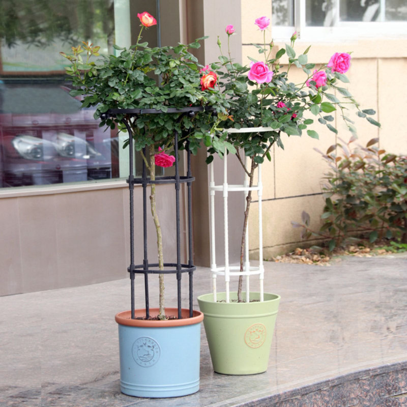 Taegyn Plant Stand