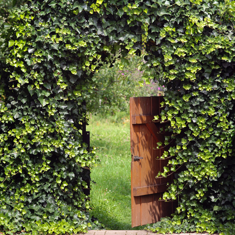 Open Garden Gate by Terra24 - Wrapped Canvas Print, 30cm H x 30cm W