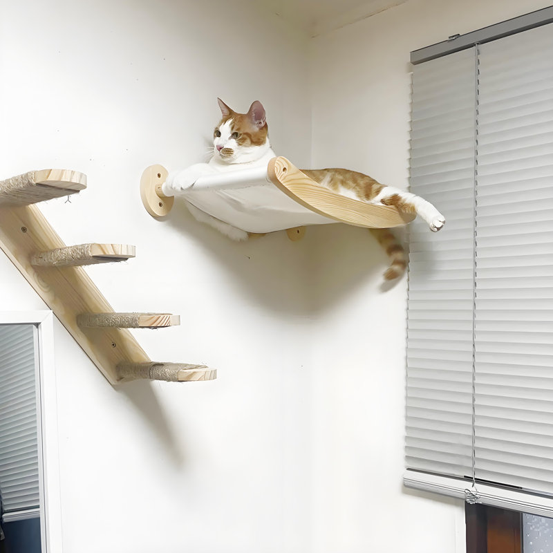 Cat Bed with Stairway on Wall