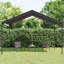 Canopy Tent Steel and Fabric-875277391-875277388