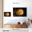 Kelan Time Travel-109400301