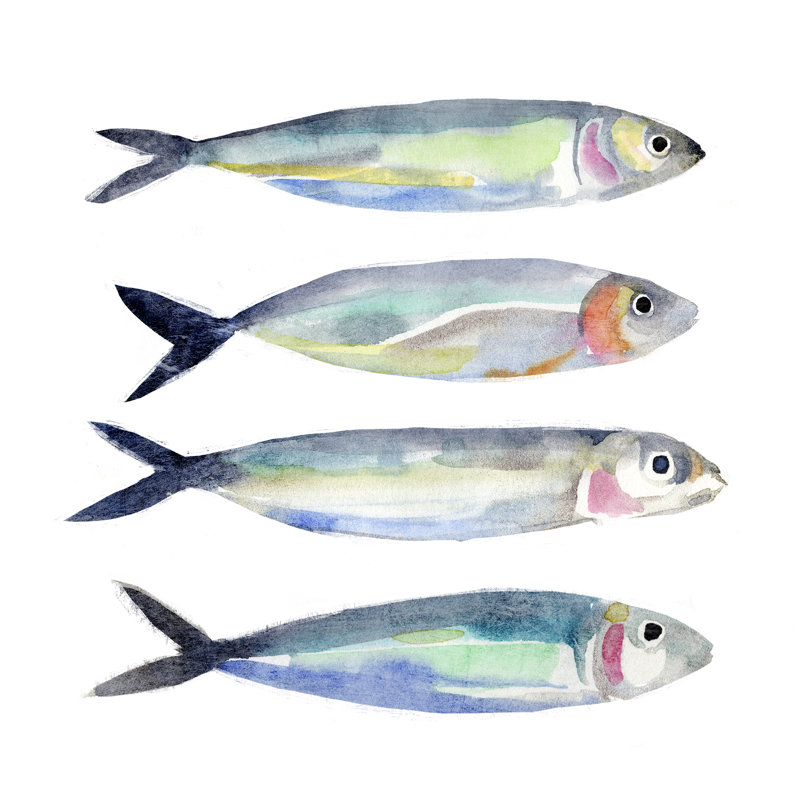 Sardine Team I by Annie Warren - Wrapped Canvas Painting, 30cm H x 30cm W x 3.8cm D