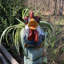 Statue de jardin fantaisiste «Freddie»