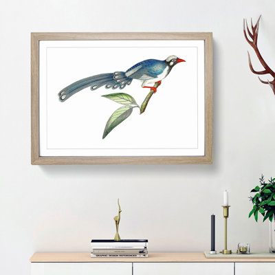 Chinese Cuckoo by George Shaw - Picture Frame Painting Print
