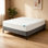 Mattress Protector