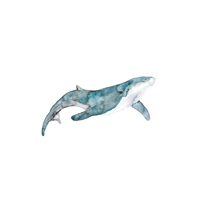 Art de baleine, Toile tendue, H 26 po x l 40 po x P 1,5 po