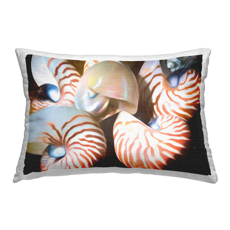 Coussin Nautilus Shells Cluster