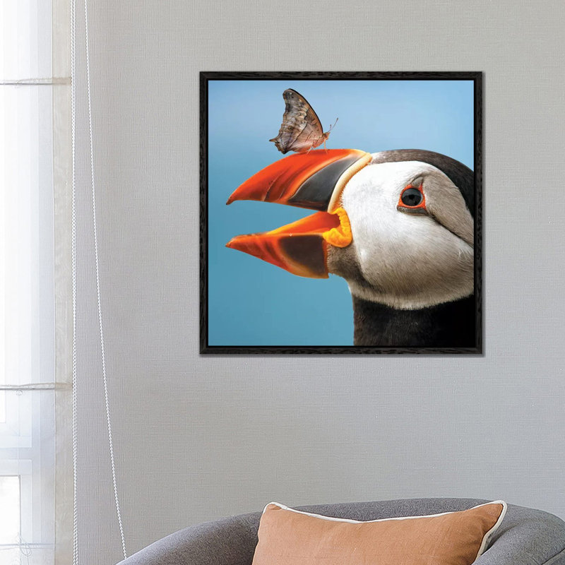 Atlantic Puffin Butterfly by Zenja Gammer - Print on Canvas, 66.04 cm H x 66.04 cm W, Black Framed