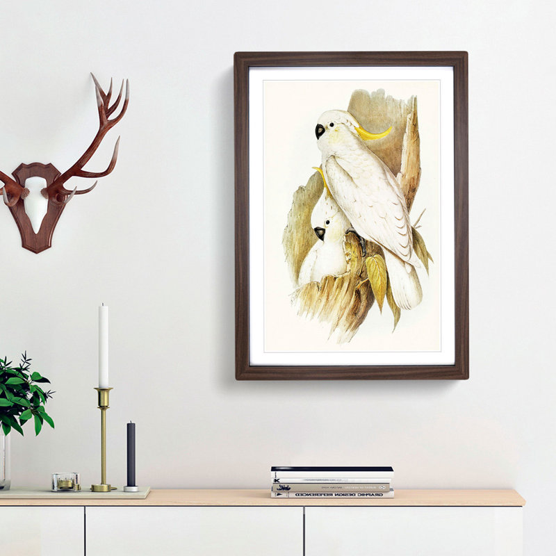 Crested Cockatoos by Elizabeth Gould - Framed Print, 65cm H x 48cm W x 2cm D, Walnut Framed