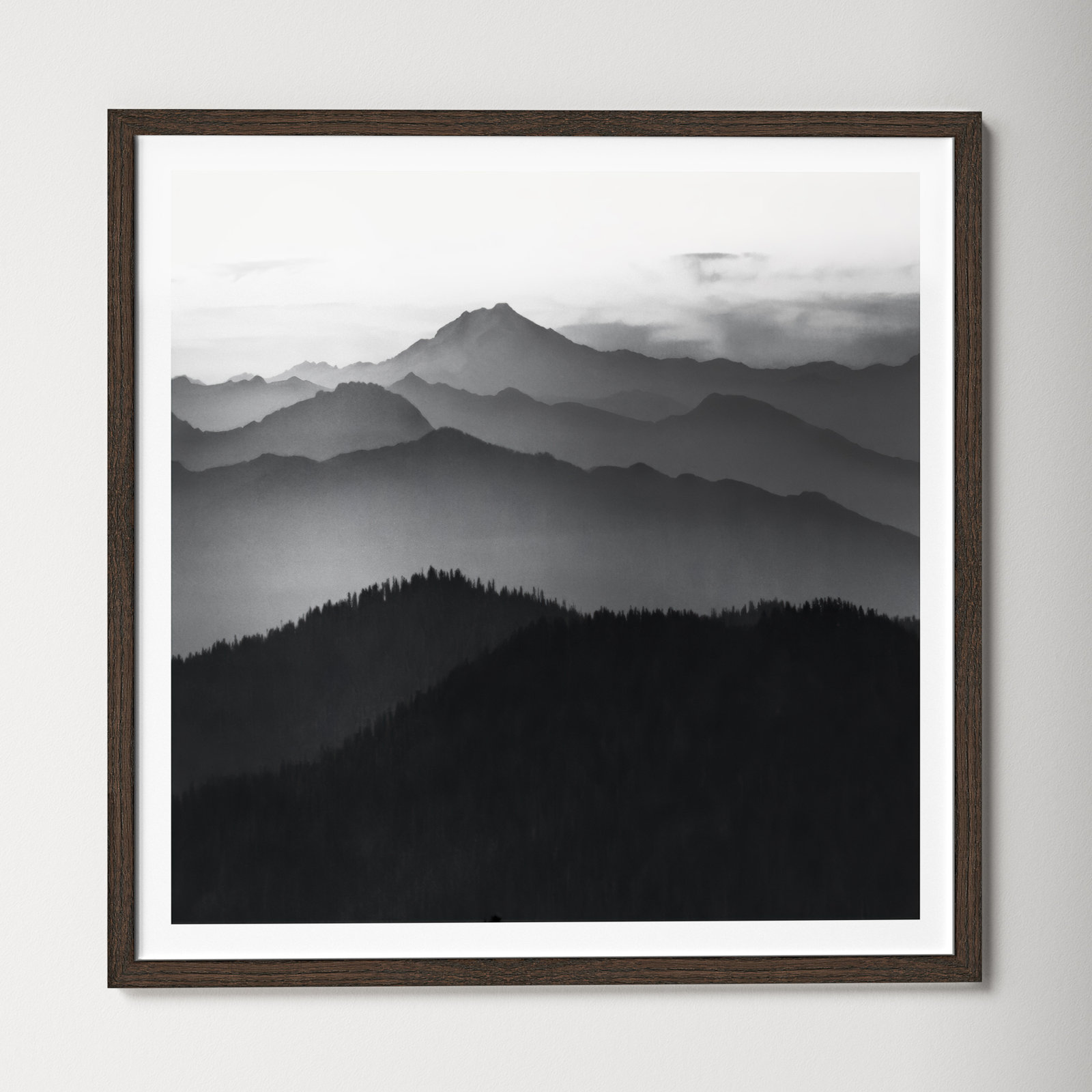 Cascades by Danita Delimont, 23.5" H x 23.5" W x 0.75" D, Walnut Framed