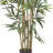 Multi Bambusa Bamboo Silk Tree-171482841