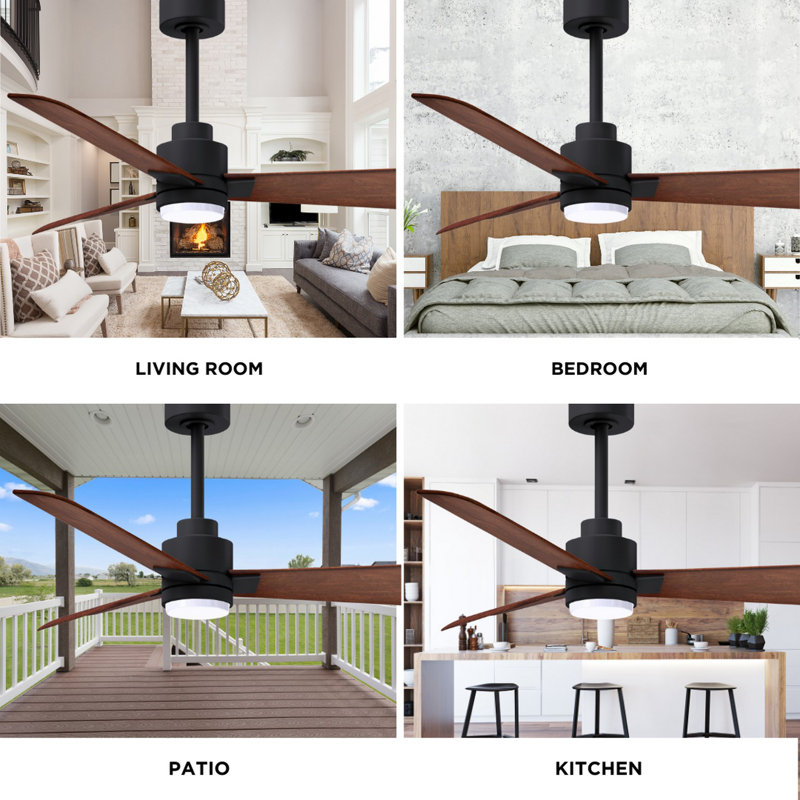 Alessandra - Three Blade Transitional Ceiling Fan -LED, Walnut, Matte Black, 42"