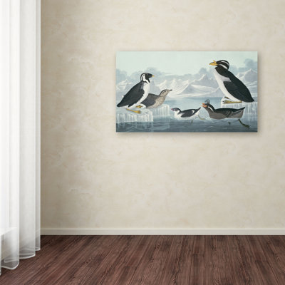 John Audubon - Print on Canvas