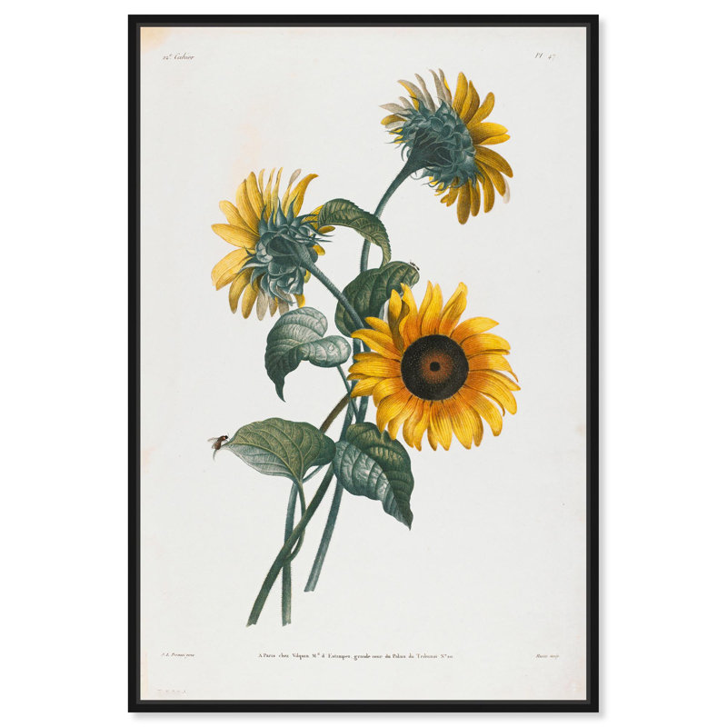 Art Remedy, impressions sur toile, tournesols, 1805, Cadre flottant noir, H 16 po x l 11 po